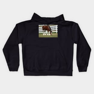 Clydesdale Kids Hoodie